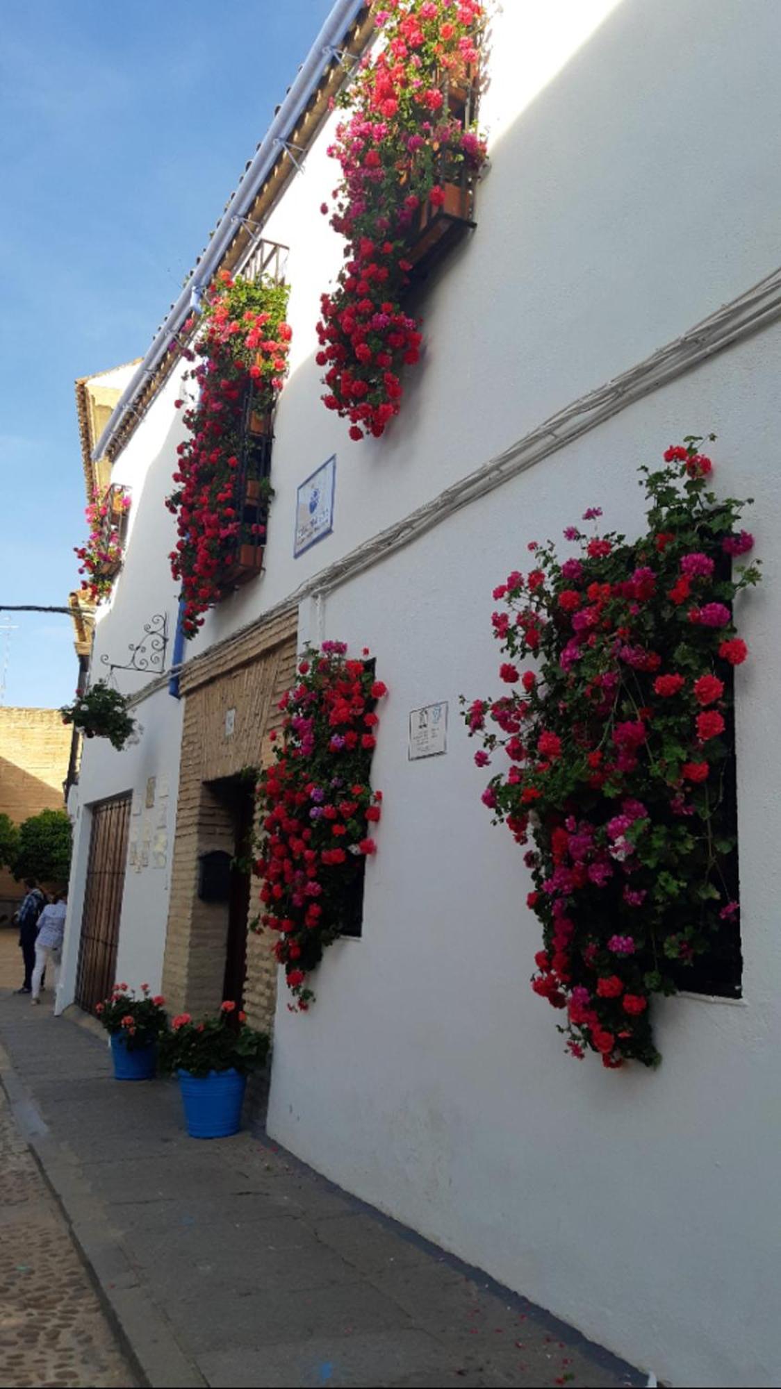 Apartamento En Barrio San Basilio Córdoba Exterior foto